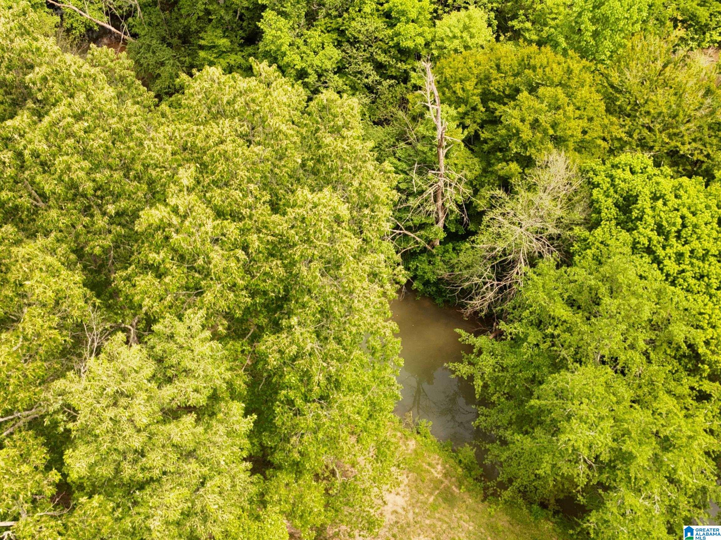 1336 Estes Road Piedmont, AL 36272 - Photo 13 of 50