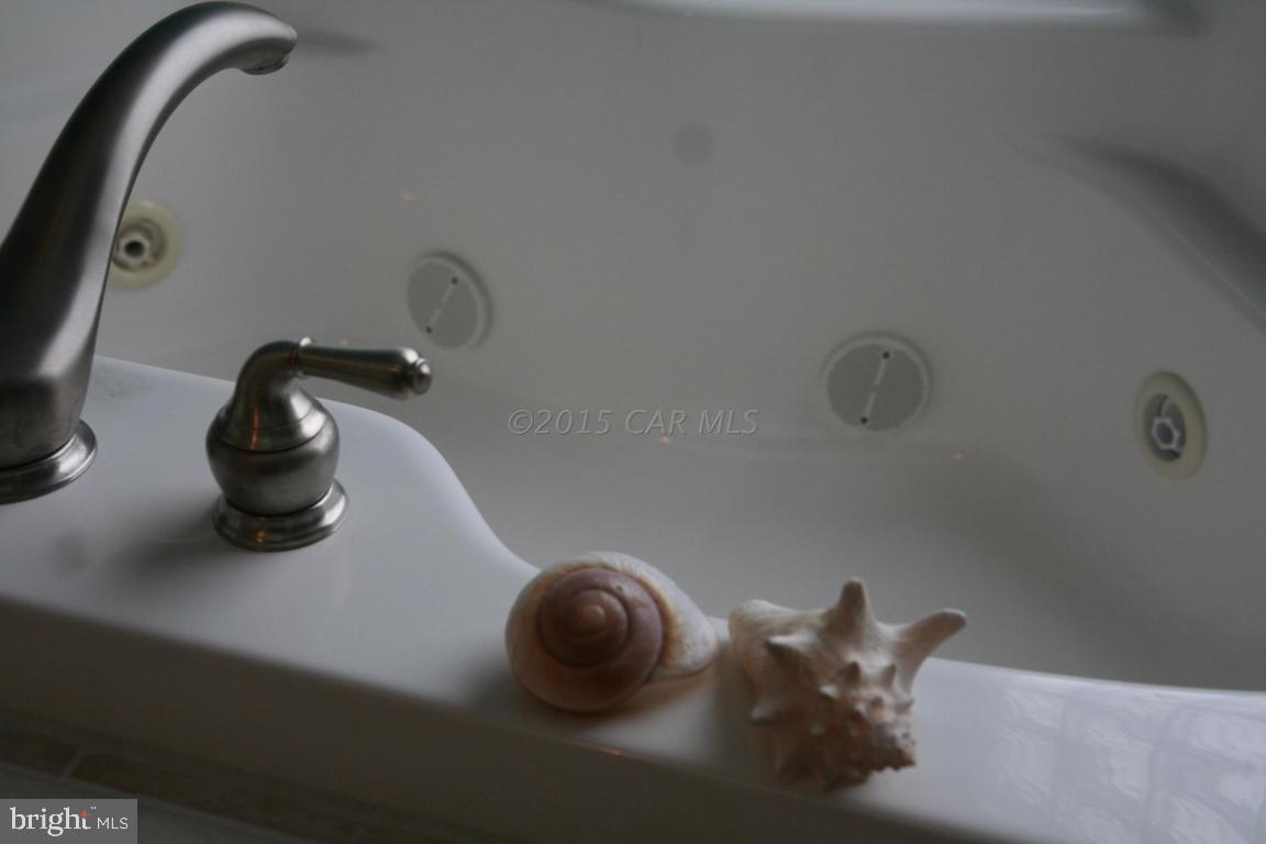 5607 Lone Pine Road Rhodesdale, MD 21659 - Photo 19 of 38 a close view of tap