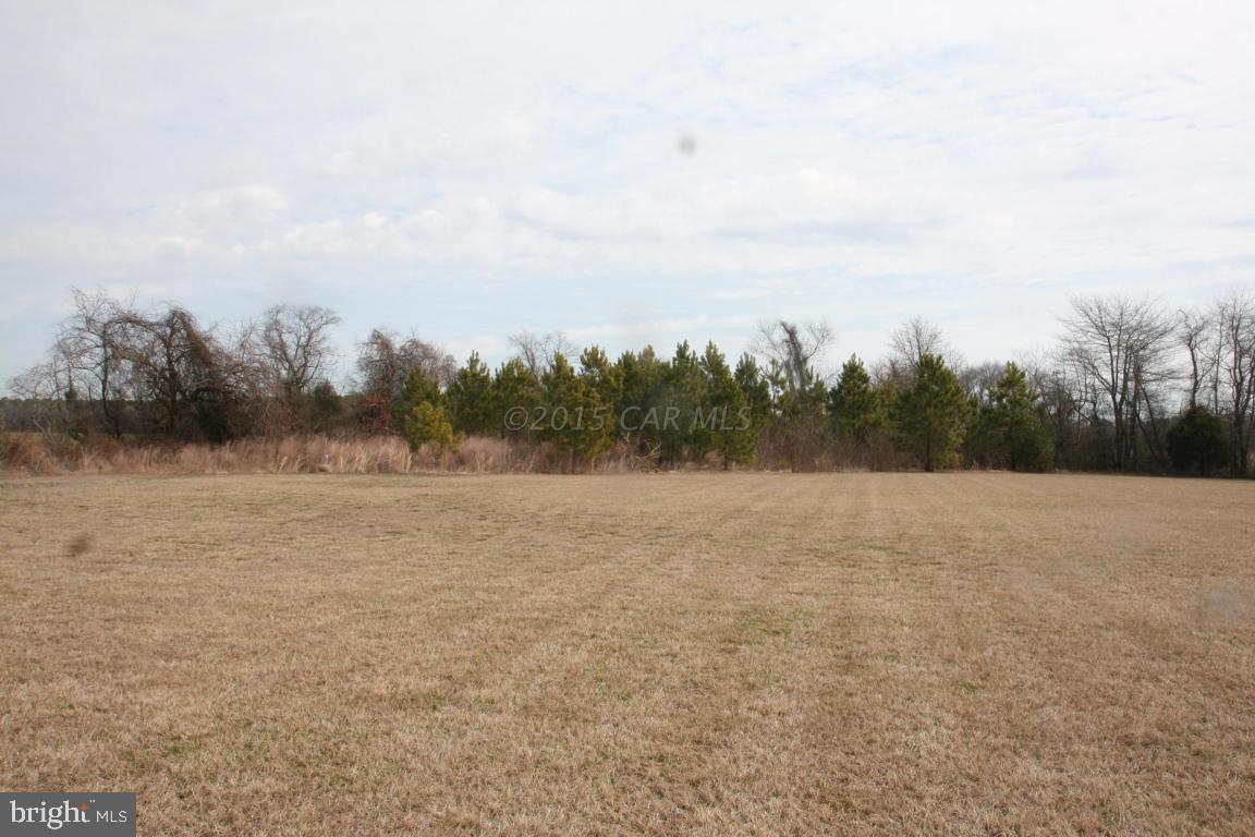 5607 Lone Pine Road Rhodesdale, MD 21659 - Photo 36 of 38 a view of outdoor space and trees