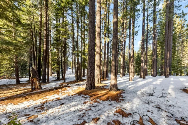 a view of a house with trees in front of it