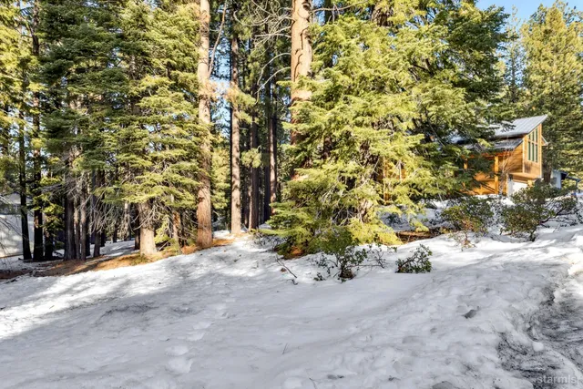 a view of a outdoor space near a tree