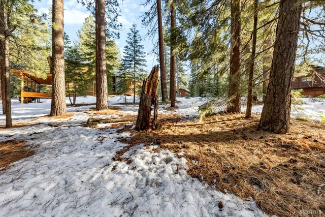 a view of outdoor space with trees