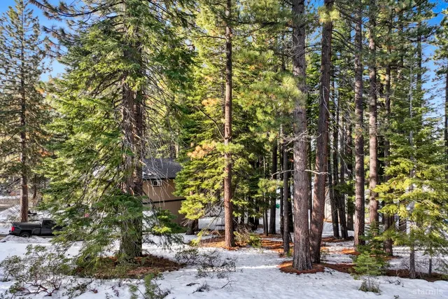 a view of a mountain range with a lush green forest