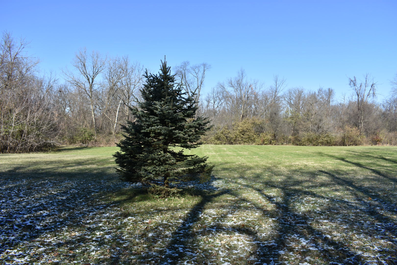 36W166 Indian Mound Road St. Charles, IL 60174 - Photo 38 of 39