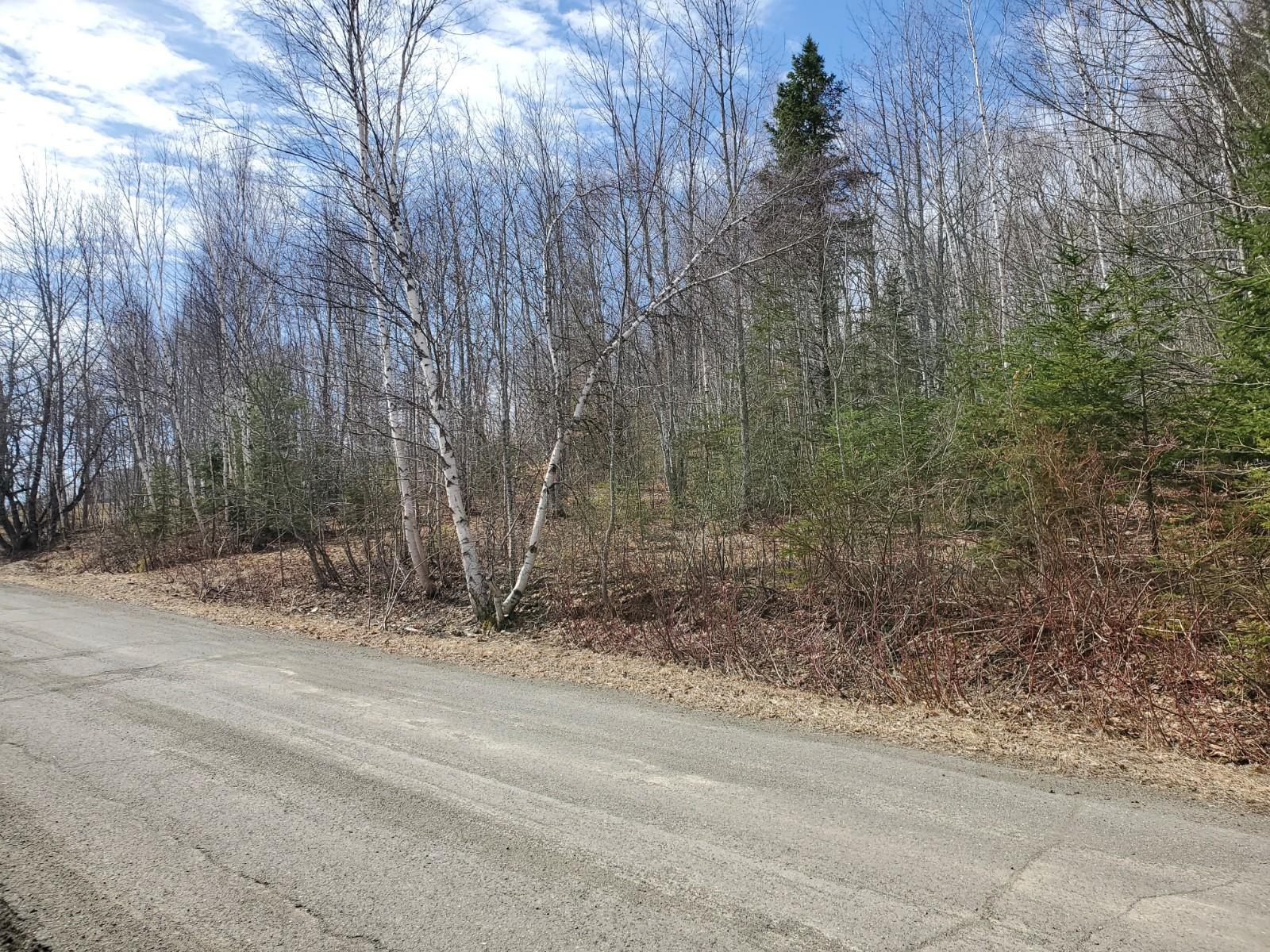 Lot 1 Baker Ridge Road Danforth, ME 04424 - Photo 4 of 4 20210409_105935 (2)