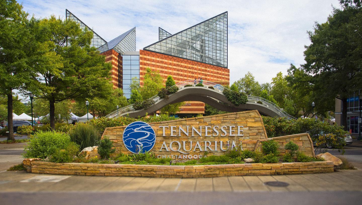 1707 Knickerbocker Avenue Chattanooga, TN 37405 - Photo 51 of 52 Tennessee Aquarium