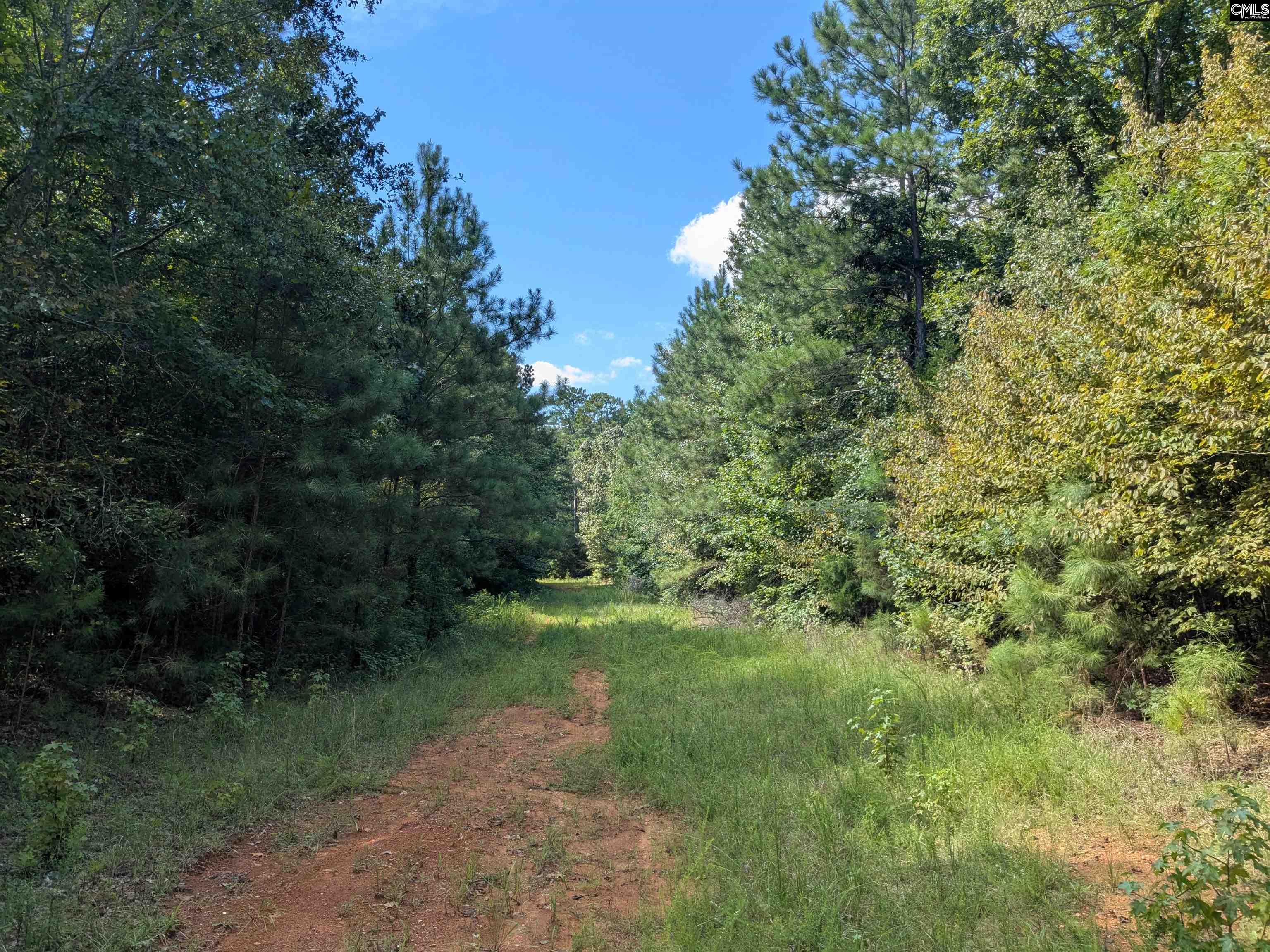 0 Taylor Road Batesburg, SC 29006 - Photo 20 of 20