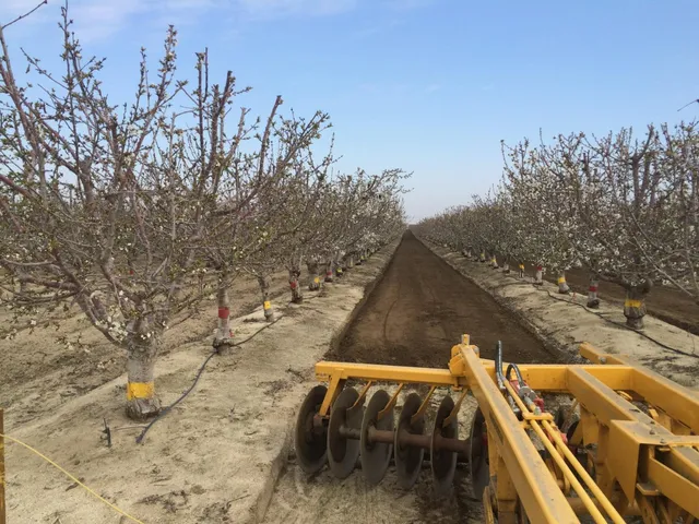 a view of an outdoor space with seating