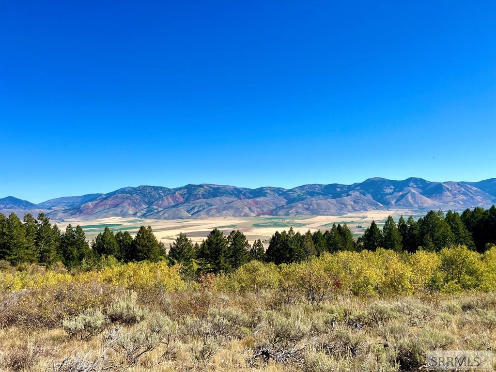 1242 Pescadero Road Montpelier, ID 83254 - Photo 3 of 3