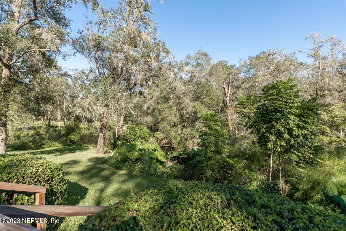 1575 Hardy Padgett Road Jacksonville, FL 32234 - Photo 24 of 43 a view of a yard with plants and large trees