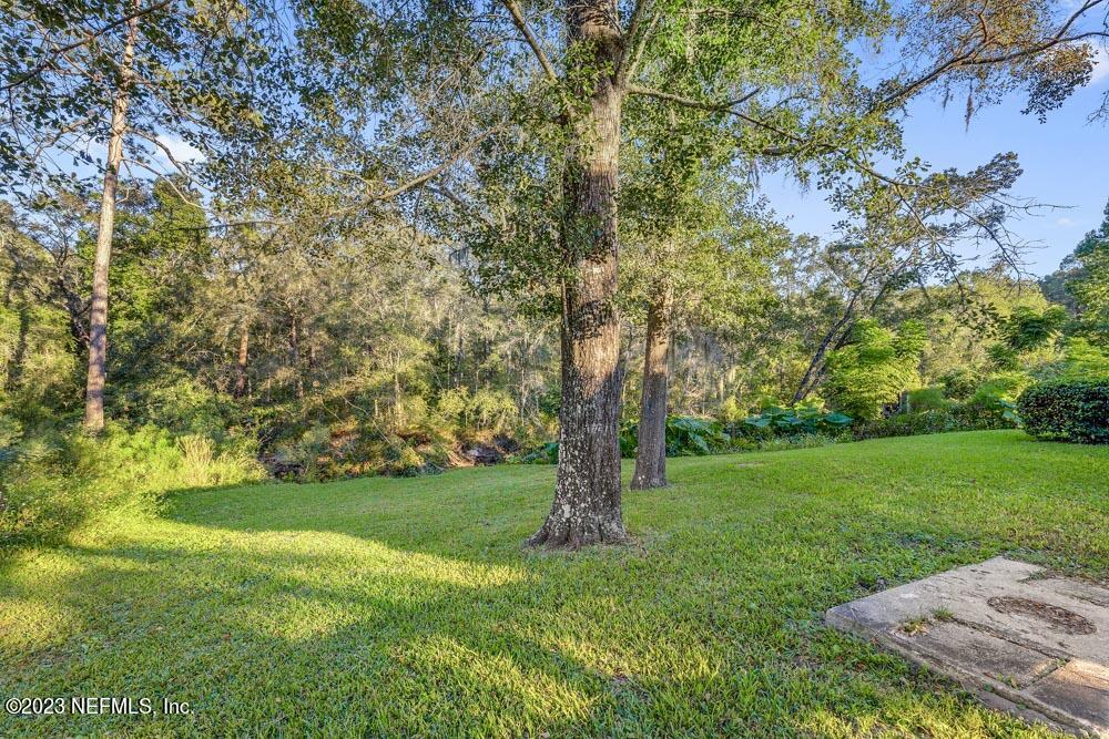 1575 Hardy Padgett Road Jacksonville, FL 32234 - Photo 28 of 43 a view of a trees with a yard