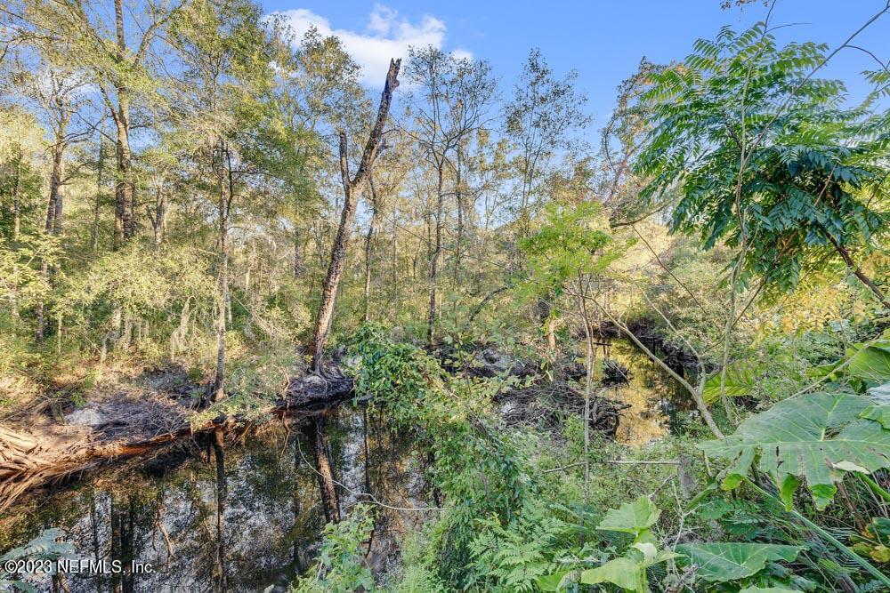 1575 Hardy Padgett Road Jacksonville, FL 32234 - Photo 33 of 43 a view of a forest with a tree