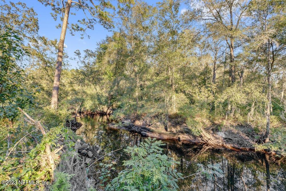 1575 Hardy Padgett Road Jacksonville, FL 32234 - Photo 34 of 43 a view of a forest with houses