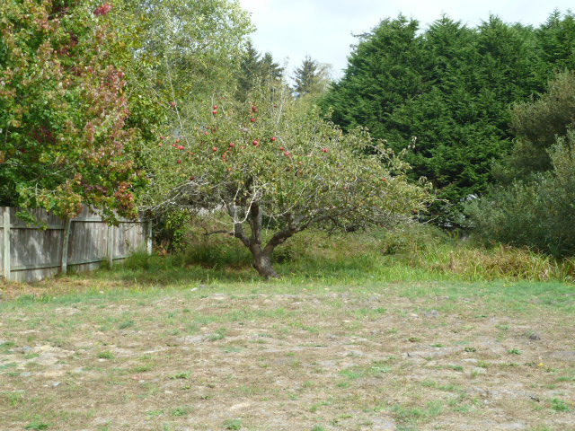 1210 Old Arcata Road Arcata, CA 95521 - Photo 9 of 14 Gallery Image 9