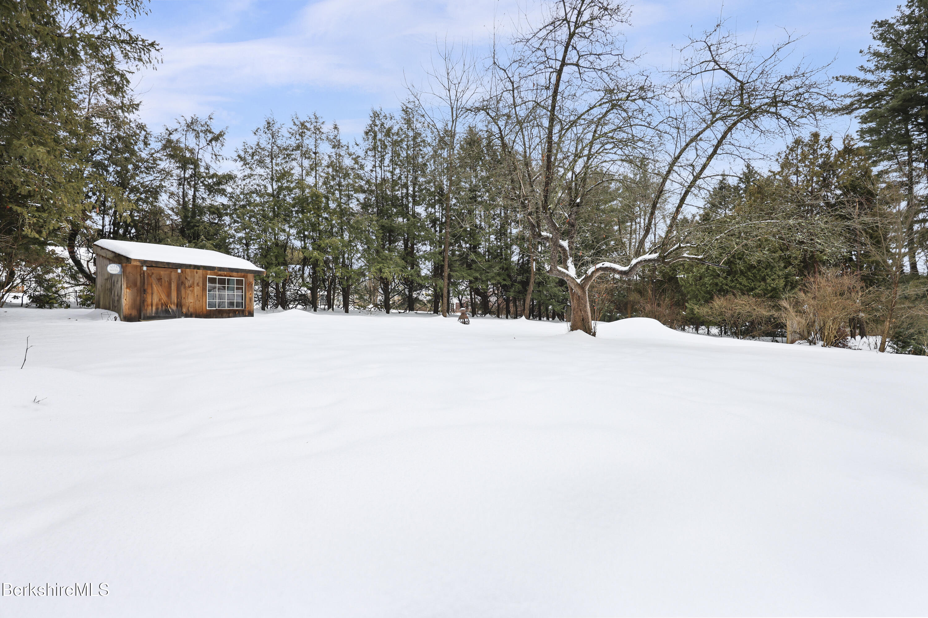 221 Holmes Road Pittsfield, MA 01201 - Photo 33 of 36 260 Back Yard