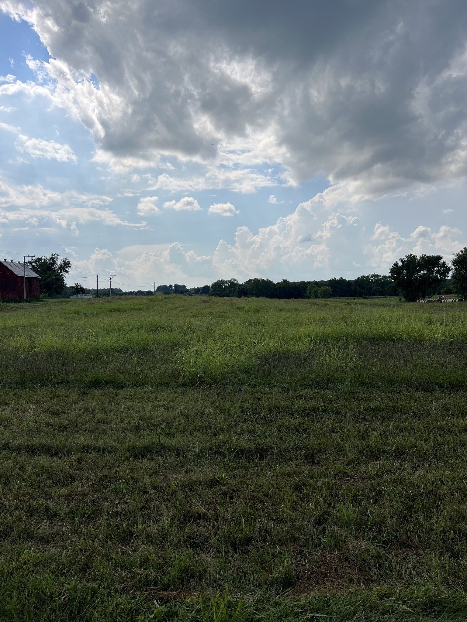 5638 Borthick Road Springfield, TN 37172 - Photo 2 of 2 a view of a big yard with plants and a garden