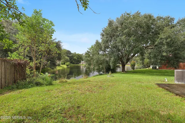 a view of a lake in middle of forest