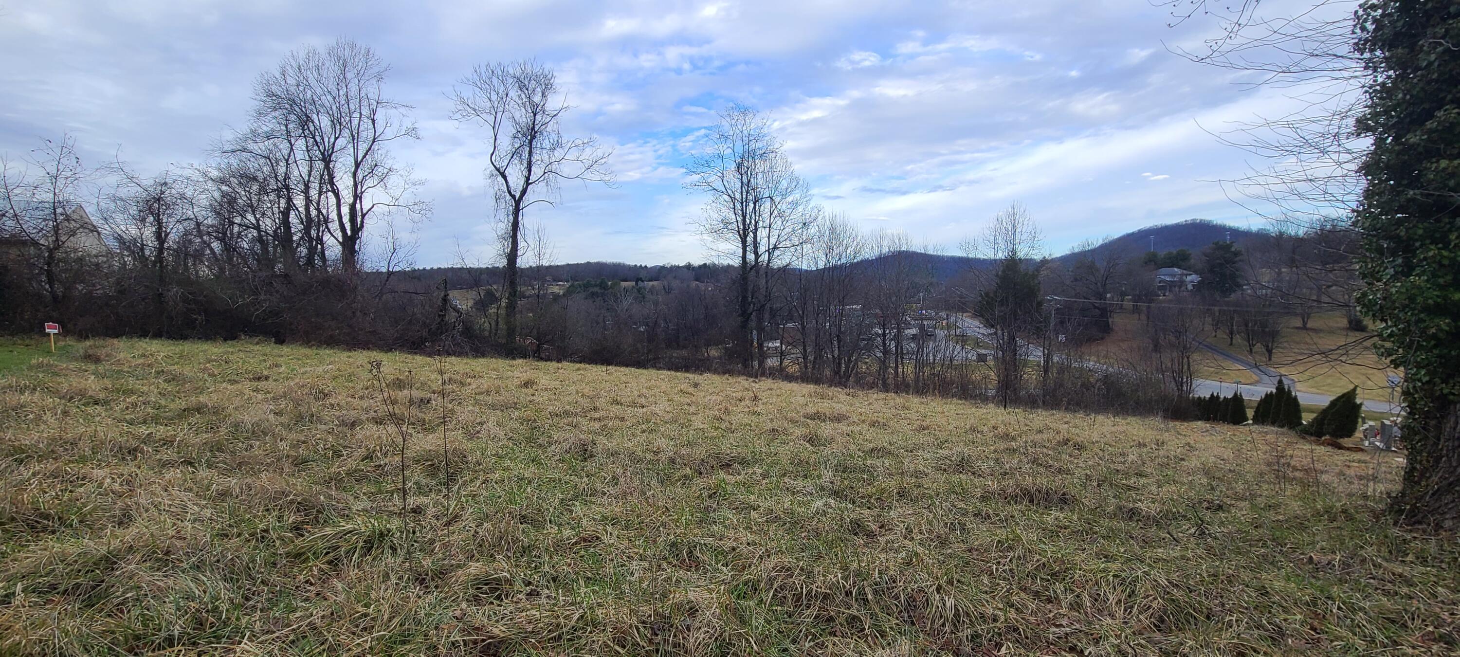 162 Fieldcrest Road Ferrum, VA 24088 - Photo 6 of 7 a view of a yard with a large tree