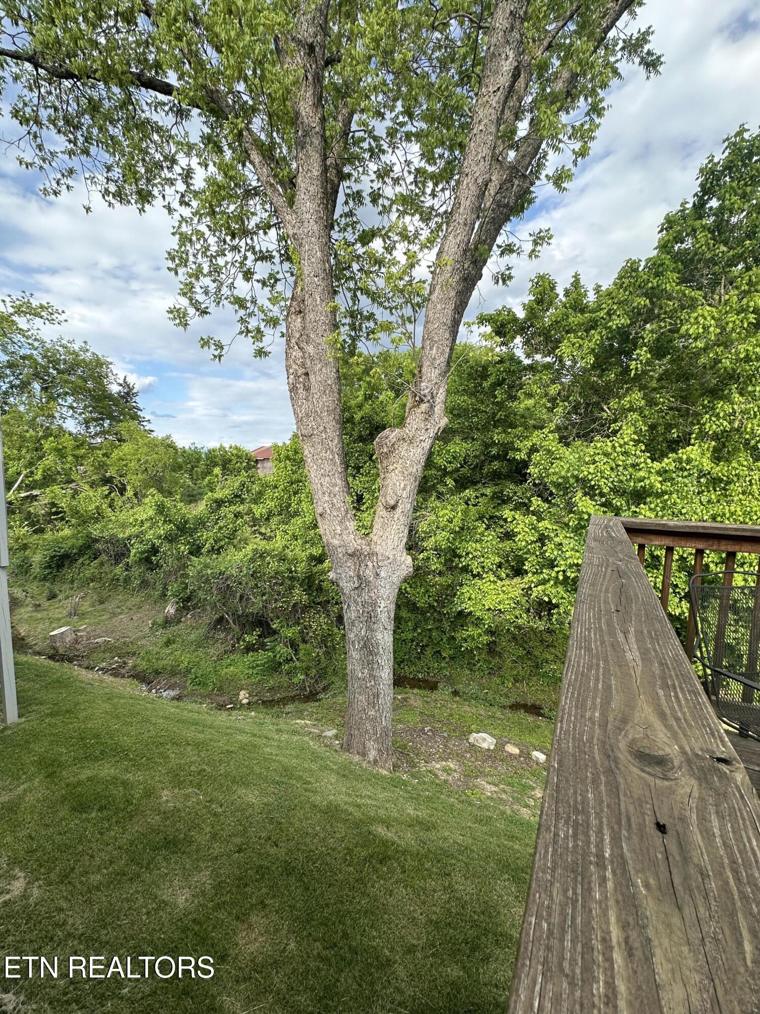 146 Mayapple Way Sevierville, TN 37862 - Photo 28 of 28 IMG_2650