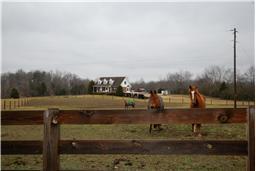 705 Doug Hill Road Bon Aqua, TN 37025 - Photo 4 of 18 Gallery Image 4