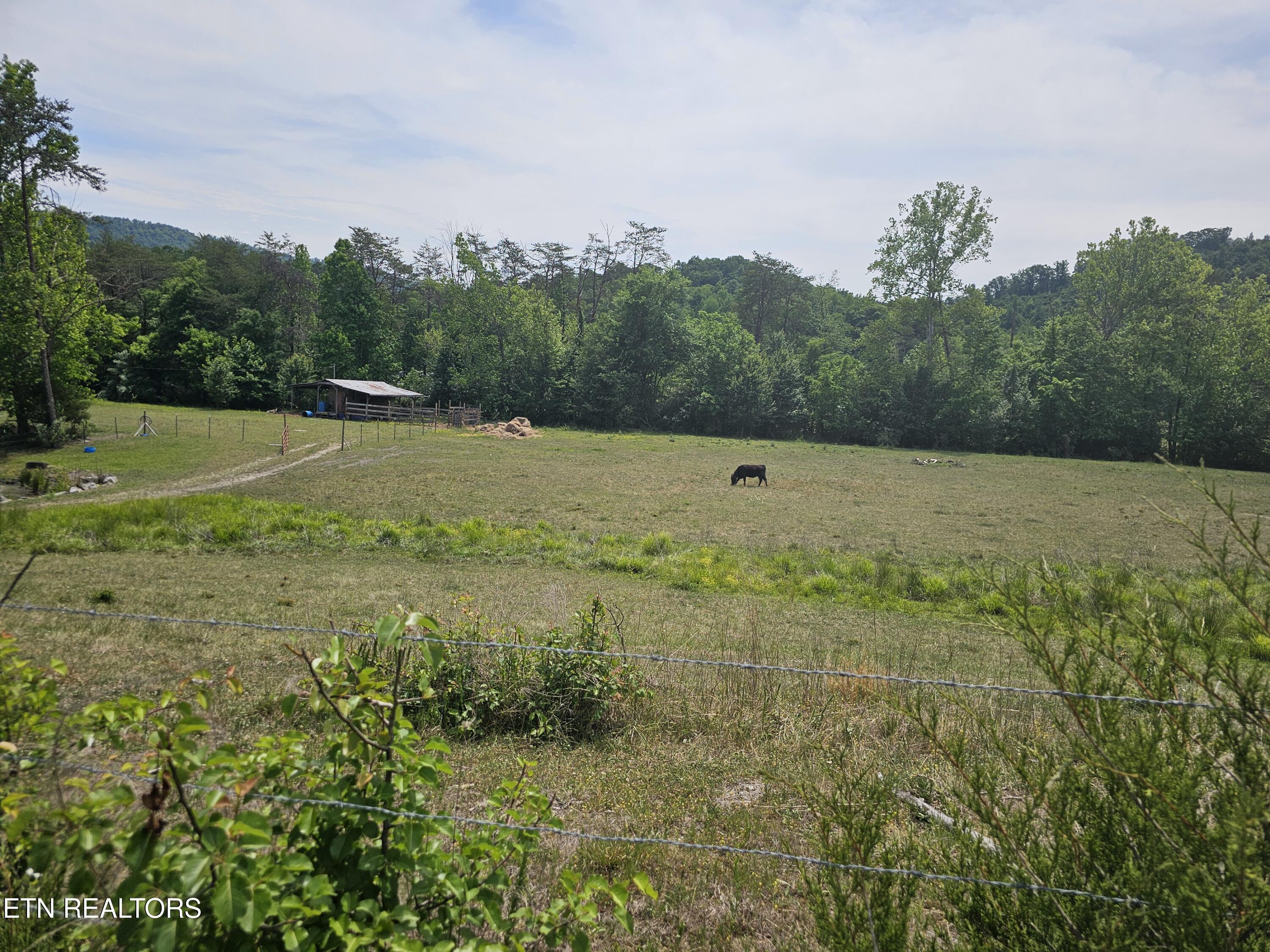 275 Republican Hill Road Newcomb, TN 37819 - Photo 32 of 34 View from Road