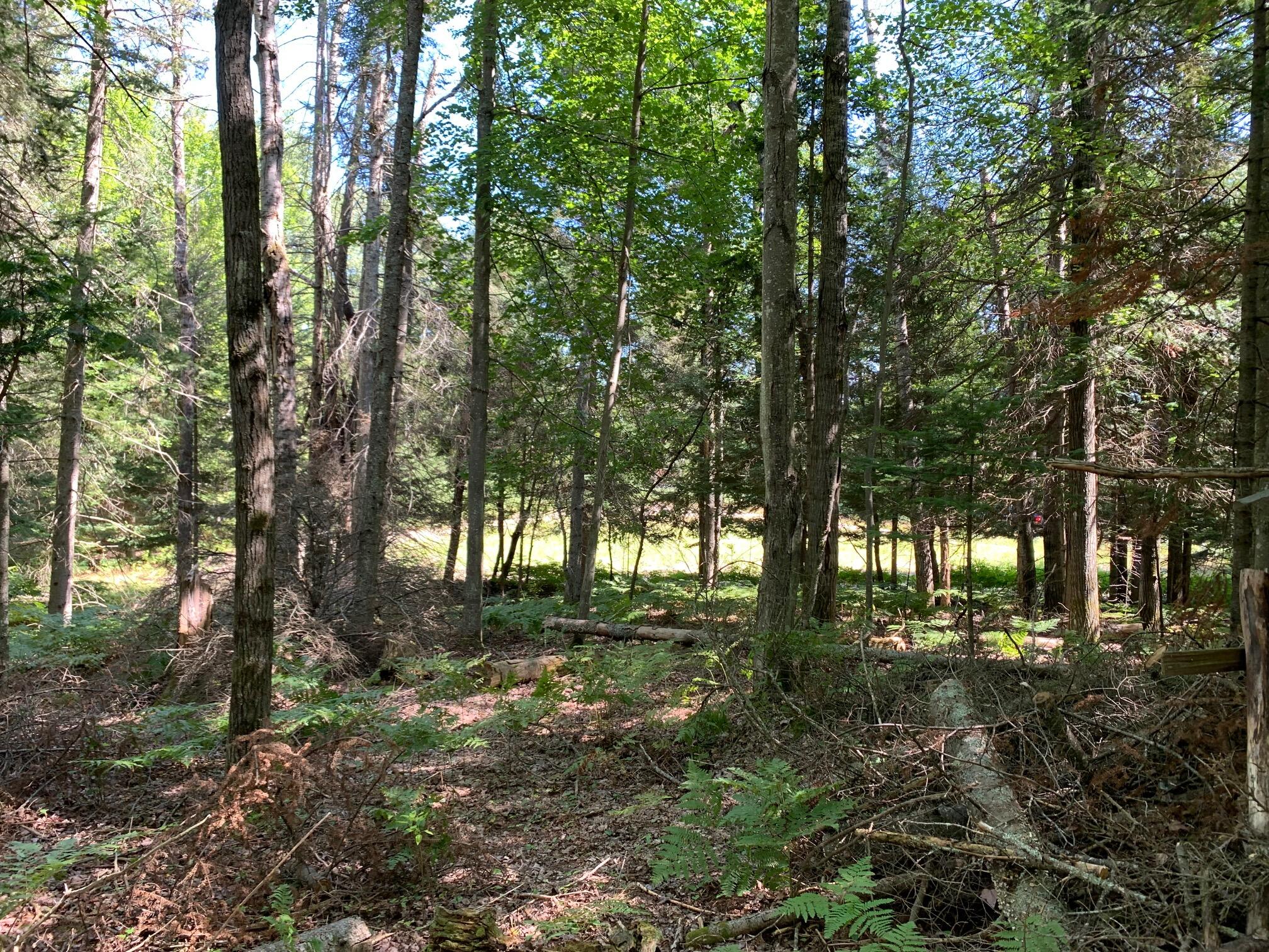 Goslow Road Gaylord, MI 49735 - Photo 13 of 31 Gallery Image 13