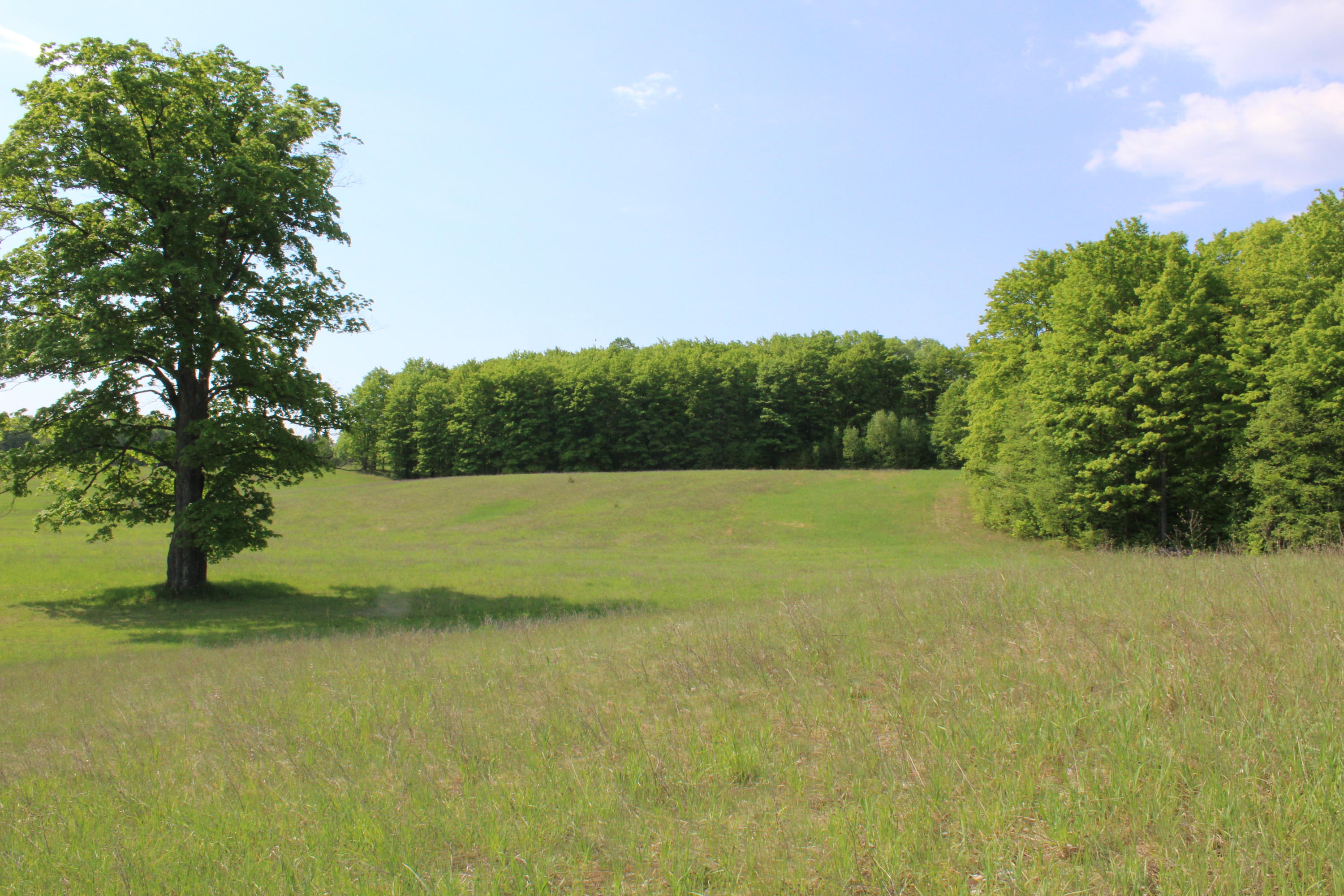 3235 West Marker Road Frederic, MI 49733 - Photo 7 of 12 Gallery Image 7