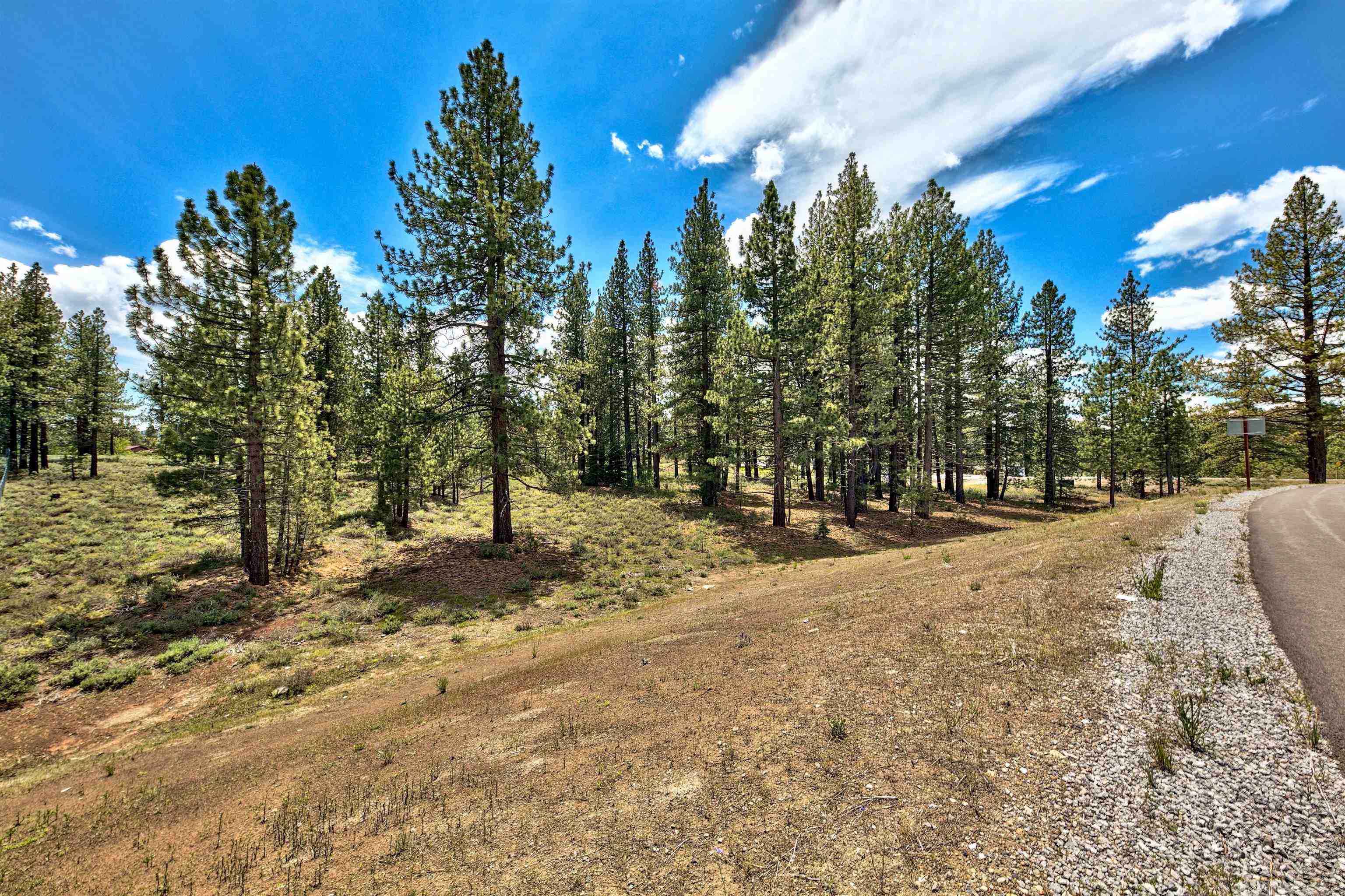 11467 Brockway Road Truckee, CA 96161 - Photo 16 of 21