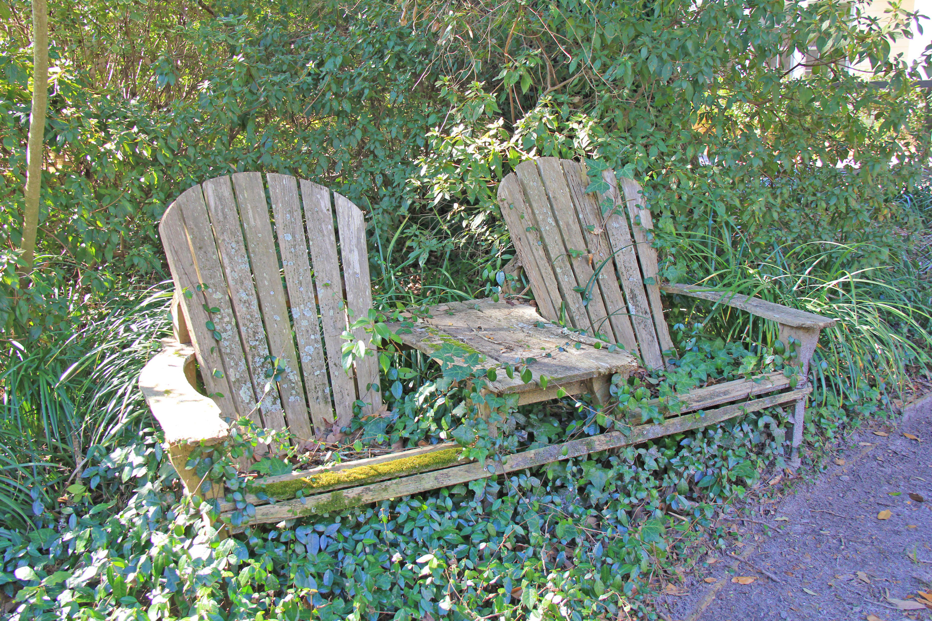 7 Palmetto Road Charleston, SC 29407 - Photo 25 of 27 Chairs