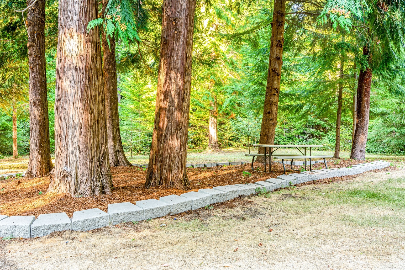 142 Ash Loop Port Townsend, WA 98368 - Photo 29 of 29 a backyard of a house with large trees and a wooden fence