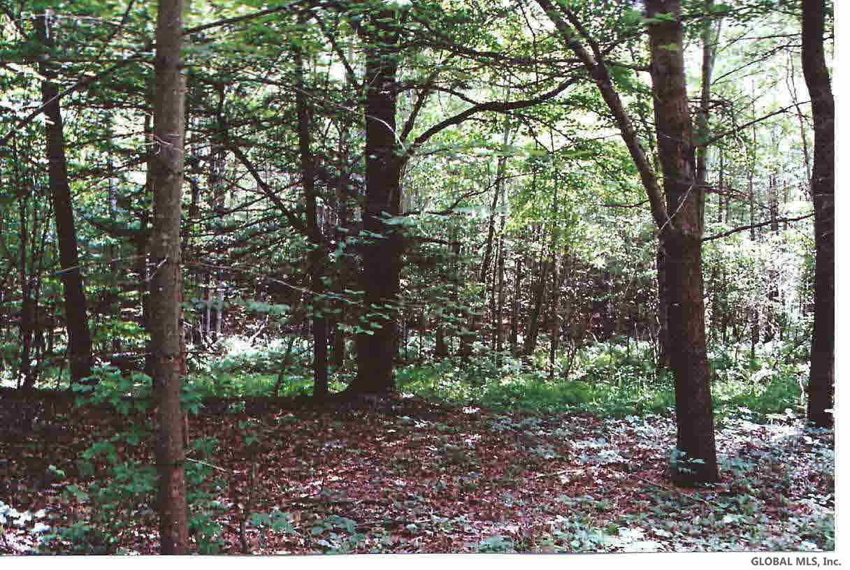 Gilchrist Road Argyle, NY 12809 - Photo 1 of 4 Photo 1