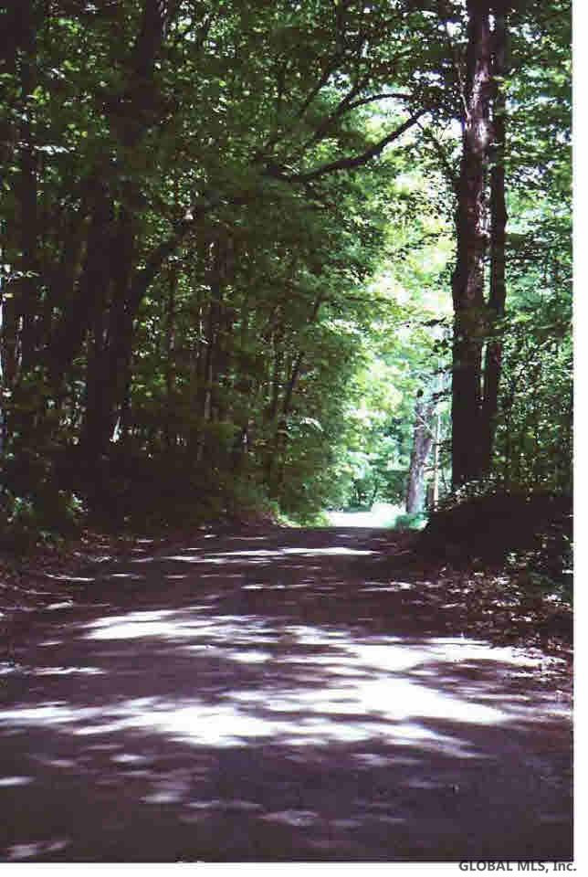 Gilchrist Road Argyle, NY 12809 - Photo 2 of 4 Photo 2