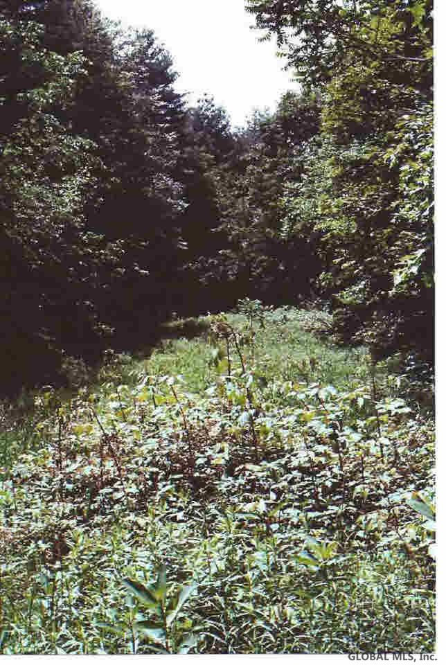 Gilchrist Road Argyle, NY 12809 - Photo 3 of 4 Photo 3
