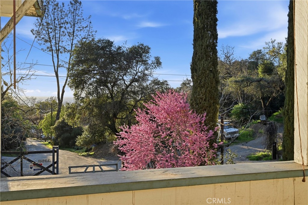 3398 Ogden Road Lucerne, CA 95458 - Photo 14 of 39 a view of a bird bath