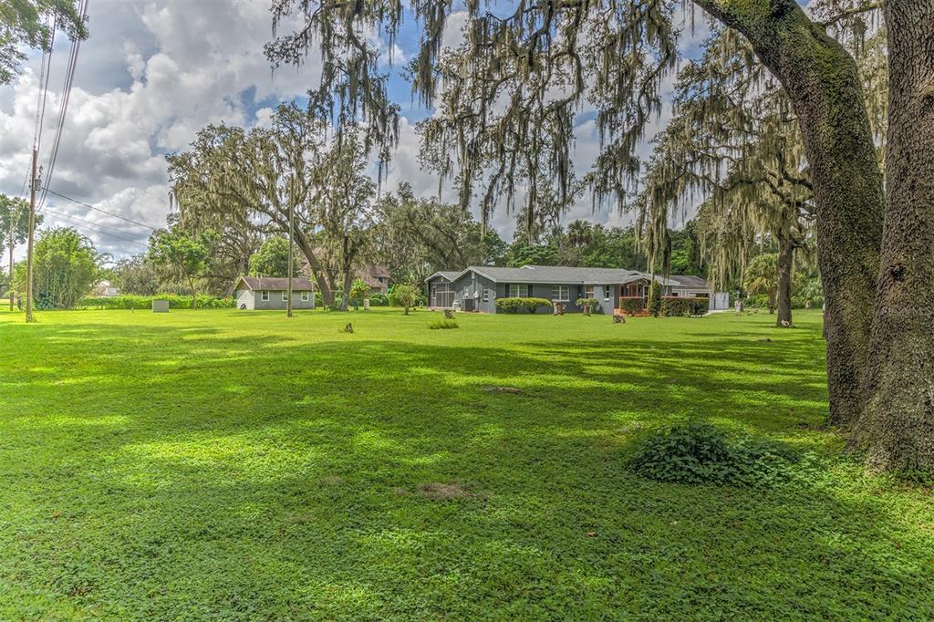 4701 Stearns Road Valrico, FL 33596 - Photo 5 of 44 Green pastures