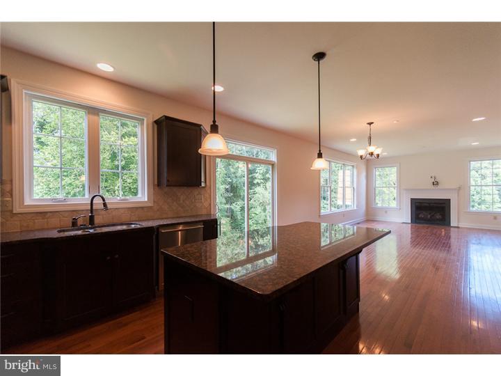 135 North Hillcrest Road Springfield, PA 19064 - Photo 20 of 24 Kitchen
