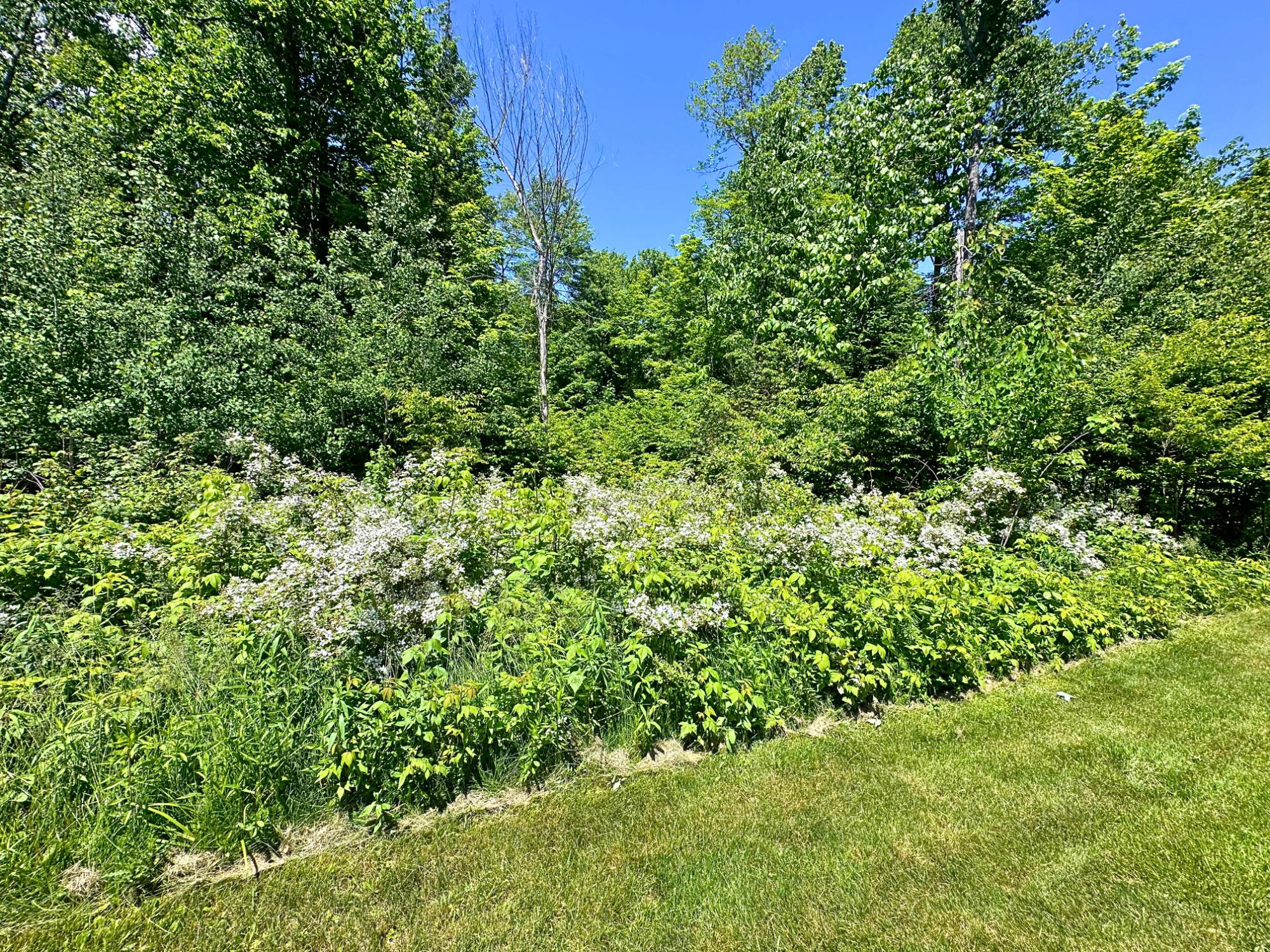 16047 Pinehaven Road Butternut, WI 54514 - Photo 9 of 54 Gallery Image 9