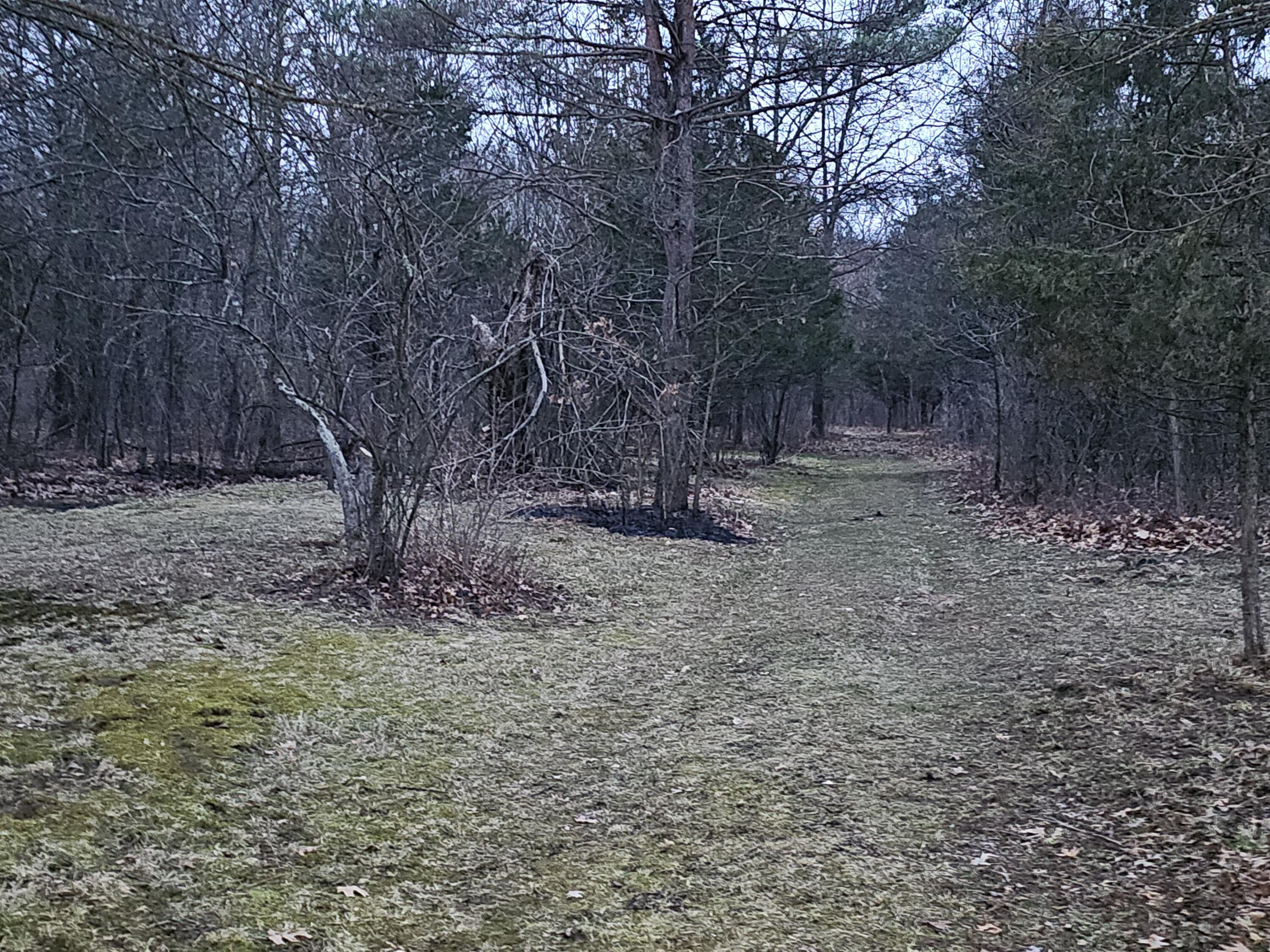 193 Ellis Road Battle Creek, MI 49037 - Photo 21 of 23 1000025106