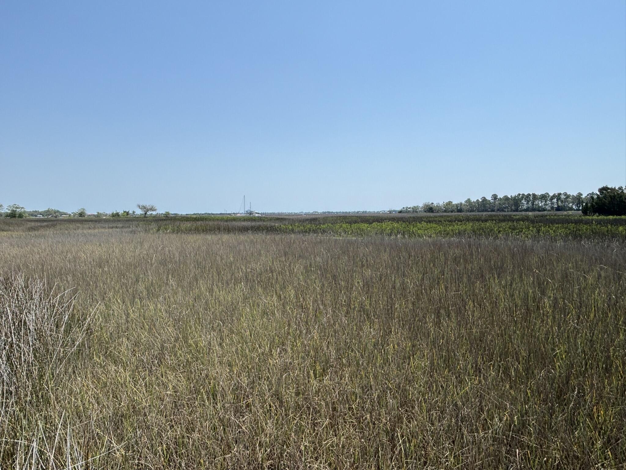 2035 Sol Legare Road Charleston, SC 29412 - Photo 17 of 26 IMG_2304