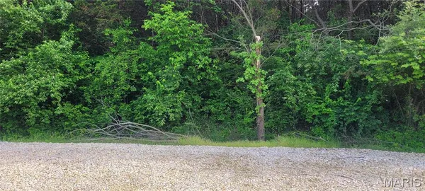 $6,000 | 0 Glen Echo Drive, De Soto, MO 63020