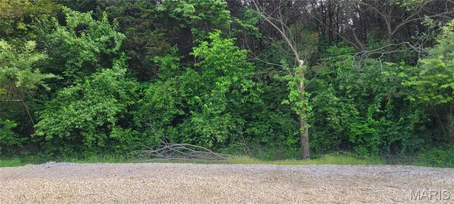 $6,000 | 0 Glen Echo Drive, De Soto, MO 63020