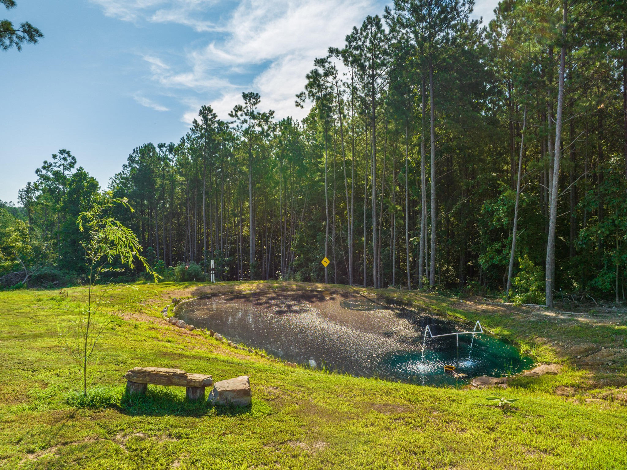 450 Cottonport Ridge Road Decatur, TN 37322 - Photo 17 of 51 a view of a backyard with trees
