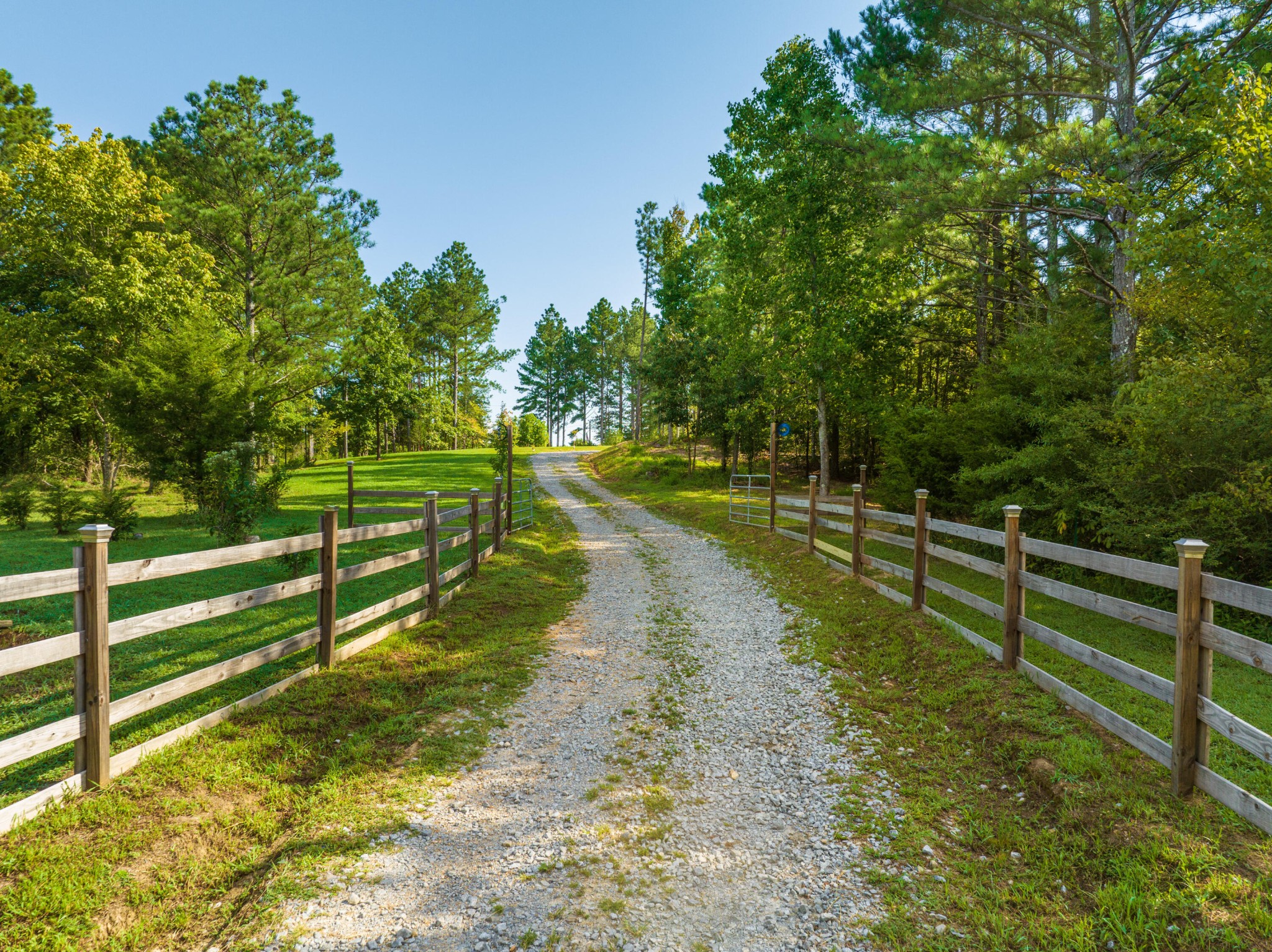 450 Cottonport Ridge Road Decatur, TN 37322 - Photo 20 of 51 a view of a park with large trees