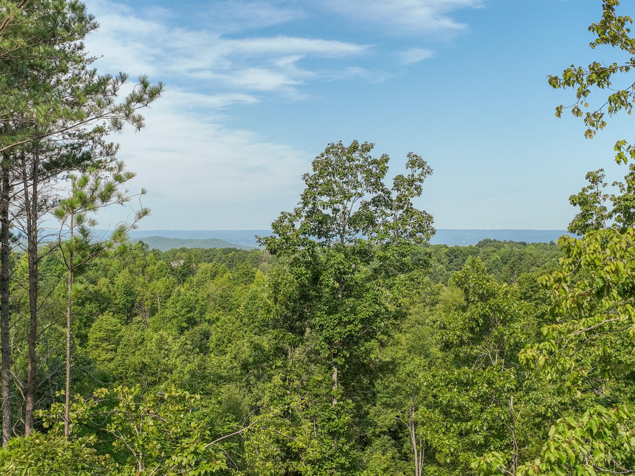 450 Cottonport Ridge Road Decatur, TN 37322 - Photo 26 of 51 view of a garden