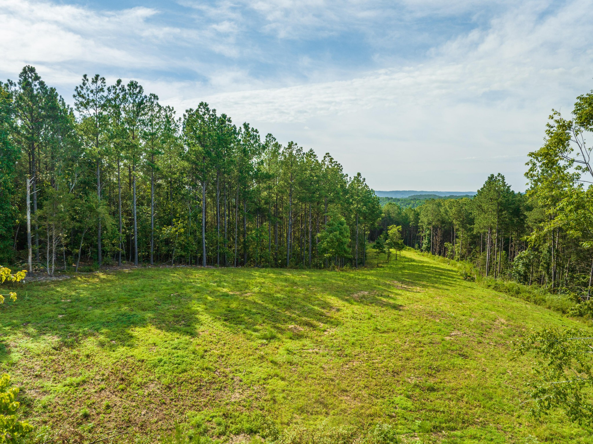 450 Cottonport Ridge Road Decatur, TN 37322 - Photo 27 of 51 a view of a big yard with a large trees