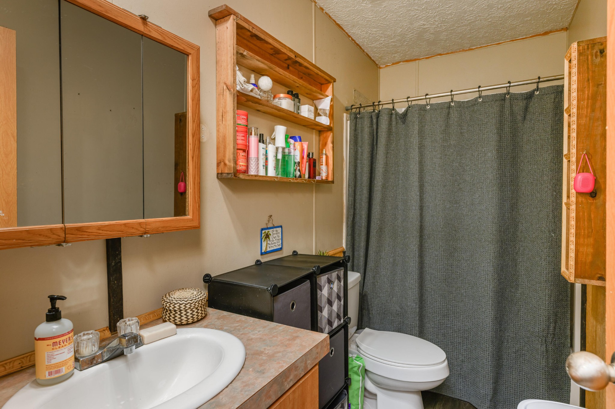 450 Cottonport Ridge Road Decatur, TN 37322 - Photo 41 of 51 a bathroom with a sink a toilet and shower curtain