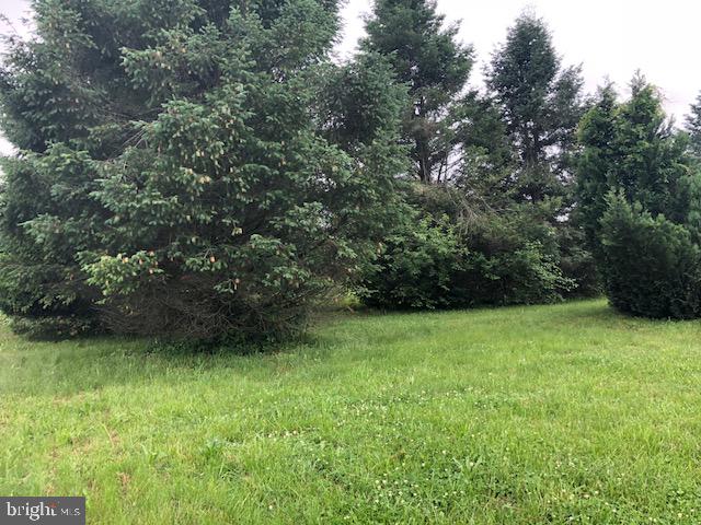 6 Viereck Road Swedesboro, NJ 08085 - Photo 18 of 19 Back Yard