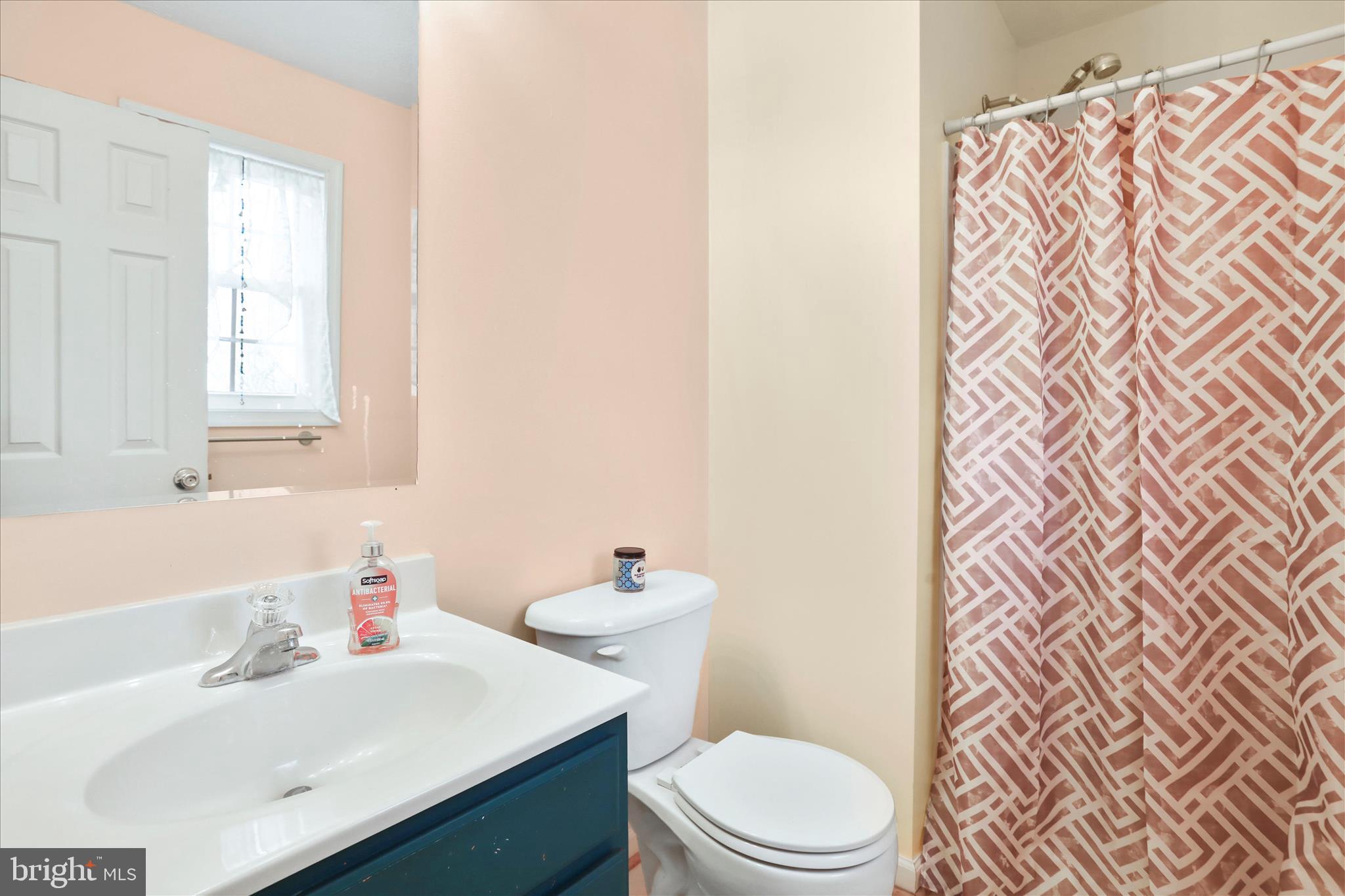 40 Lookout Point Way Linden, VA 22642 - Photo 20 of 36 a bathroom with a sink toilet and a mirror