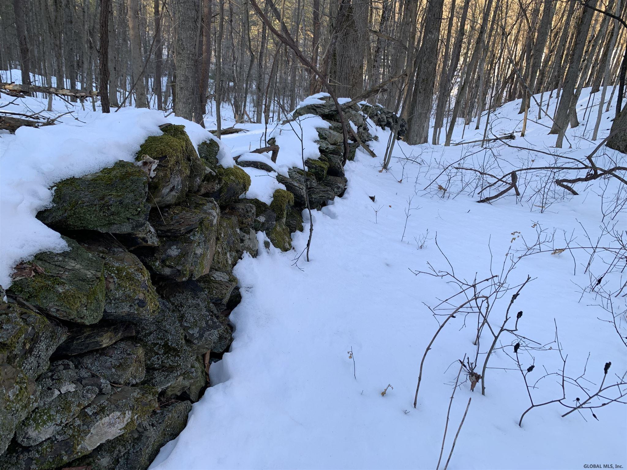5 Beck Road Eagle Bridge, NY 12057 - Photo 8 of 29 Photo 8