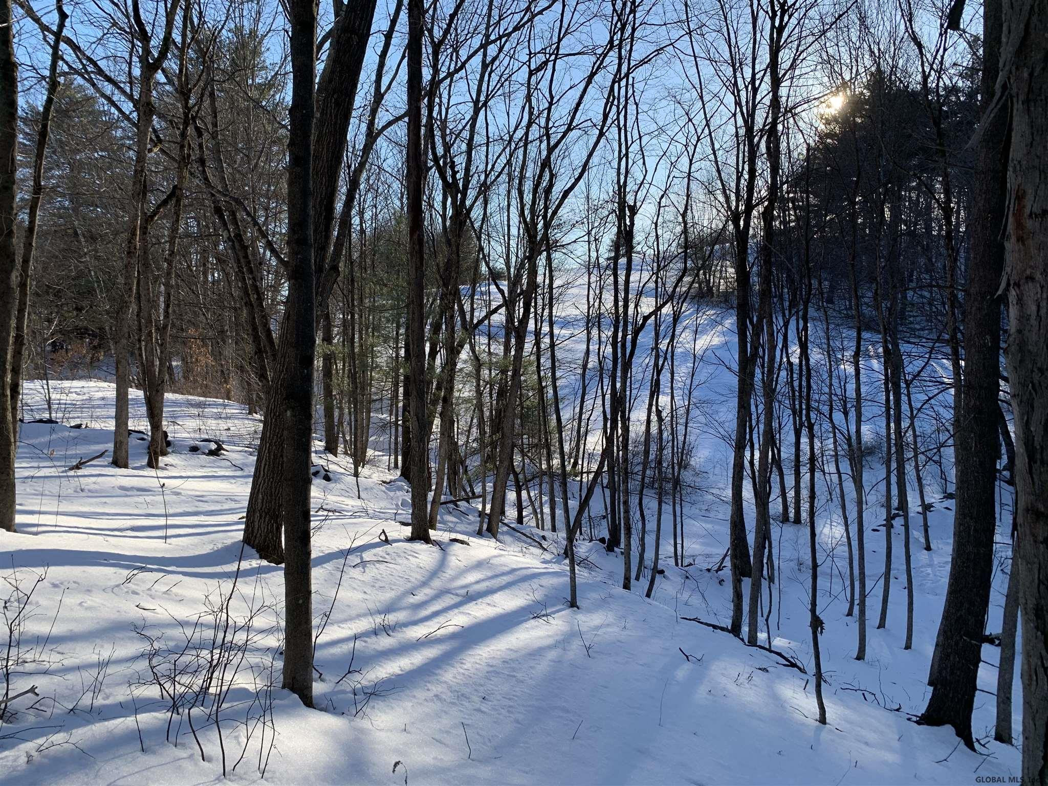 5 Beck Road Eagle Bridge, NY 12057 - Photo 9 of 29 Photo 9